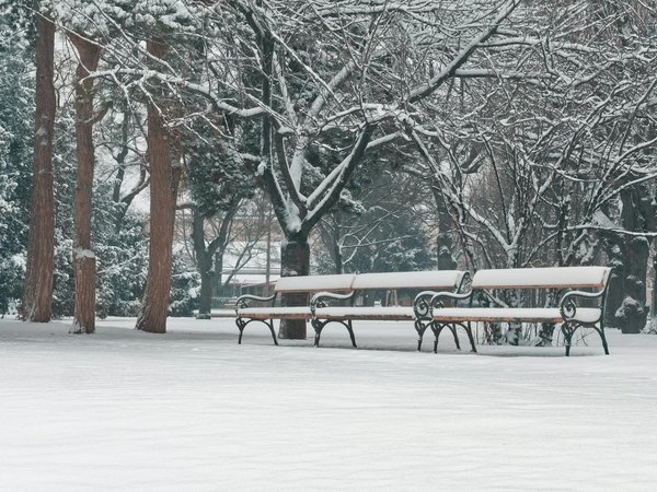 Astuces Infaillibles pour Stabiliser Votre Poids Après une Perte de Poids